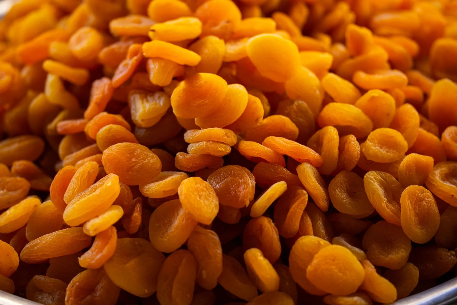 Apricot fruit leather